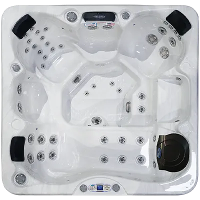Avalon EC-849L hot tubs for sale in Lafayette